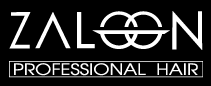 logo small
