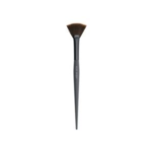 FAN BRUSH