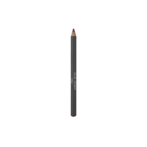 LIPLINER PENCIL 10 STAR PINK